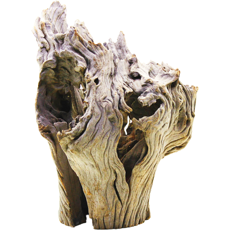 DecorLine Driftwood Misura cm24x18x29h Foto Reale cod.DW06
