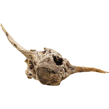 DecorLine Driftwood Misura cm44x23x30h Foto Reale cod.DW104