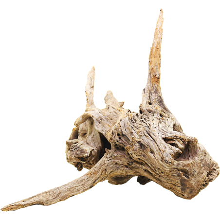 DecorLine Driftwood Misura cm44x23x30h Foto Reale cod.DW104