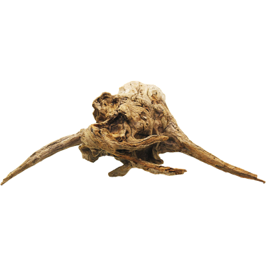 DecorLine Driftwood Misura cm44x23x30h Foto Reale cod.DW104