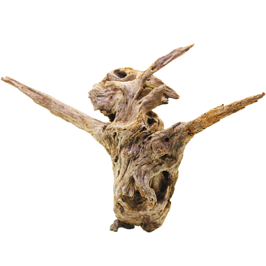 DecorLine Driftwood Misura cm44x23x30h Foto Reale cod.DW104