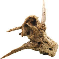 DecorLine Driftwood Misura cm44x23x30h Foto Reale cod.DW104 2