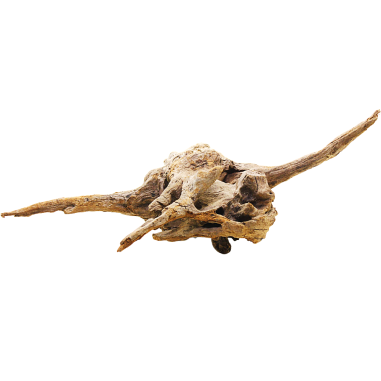 DecorLine Driftwood Misura cm44x23x30h Foto Reale cod.DW104