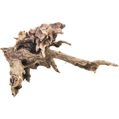 DecorLine Driftwood Misura cm30x31x30h Foto Reale cod.DW102