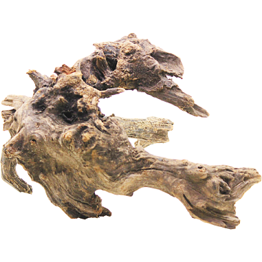 DecorLine Driftwood Misura cm30x31x30h Foto Reale cod.DW102