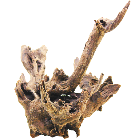 DecorLine Driftwood Misura cm30x31x30h Foto Reale cod.DW102