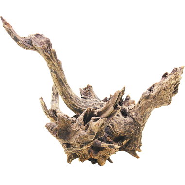 DecorLine Driftwood Misura cm30x31x30h Foto Reale cod.DW102