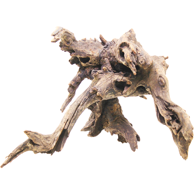 DecorLine Driftwood Misura cm30x31x30h Foto Reale cod.DW102