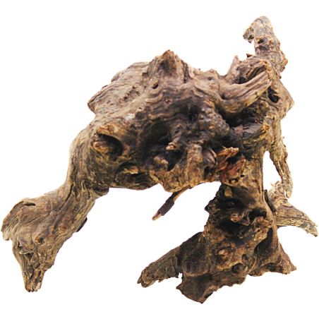 DecorLine Driftwood Misura cm30x31x30h Foto Reale cod.DW102