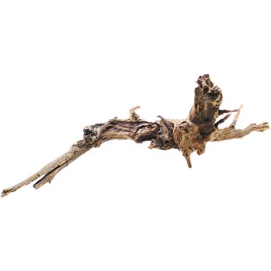 Decorline Driftwood Misura cm53x58x24h Foto Reale cod.DW16