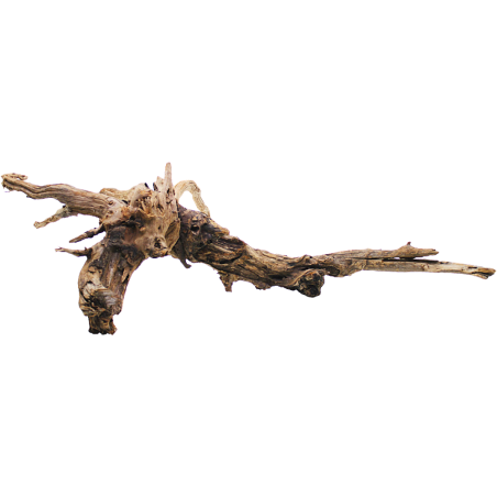 Decorline Driftwood Misura cm53x58x24h Foto Reale cod.DW16