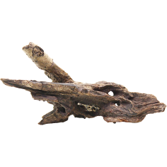 Decorline Driftwood Misura cm19x6x7h Foto Reale cod.DW13 2