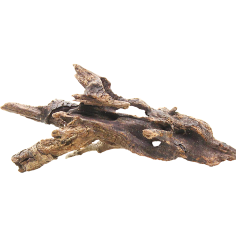 Decorline Driftwood Misura cm19x6x7h Foto Reale cod.DW13