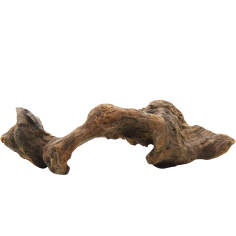 Decorline Driftwood Misura cm19x6x5h Foto Reale cod.DW35
