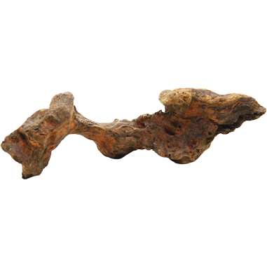 Decorline Driftwood Misura cm19x6x5h Foto Reale cod.DW35