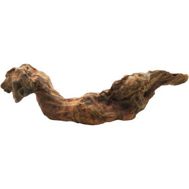 Decorline Driftwood Misura cm19x6x5h Foto Reale cod.DW35