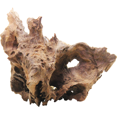 DecorLine Driftwood Misura cm14x19x16h Foto Reale cod.DW09