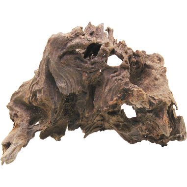 DecorLine Driftwood Misura cm14x19x16h Foto Reale cod.DW09