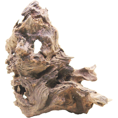 DecorLine Driftwood Misura cm14x19x16h Foto Reale cod.DW09
