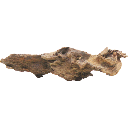 Decorline Driftwood Misura cm21x10x4h Foto Reale cod.DW30