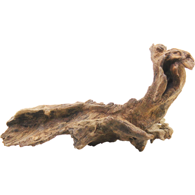 Decorline Driftwood Misura cm21x10x4h Foto Reale cod.DW30