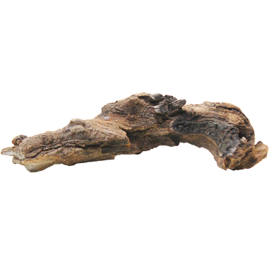 Decorline Driftwood Misura cm21x10x4h Foto Reale cod.DW30
