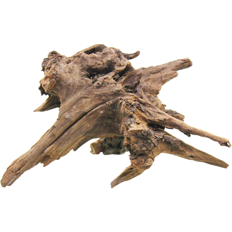 Decorline Driftwood Misura cm25x21x14h Foto Reale cod.DW54