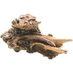 Decorline Driftwood Misura cm25x21x14h Foto Reale cod.DW54 2