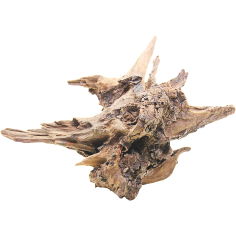 Decorline Driftwood Misura cm25x21x14h Foto Reale cod.DW54