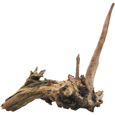 Decorline Driftwood Misura cm19x10x19h Foto Reale cod.DW33