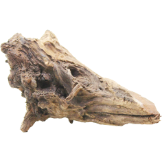 Decorline Driftwood Misura cm19x10x19h Foto Reale cod.DW33 2
