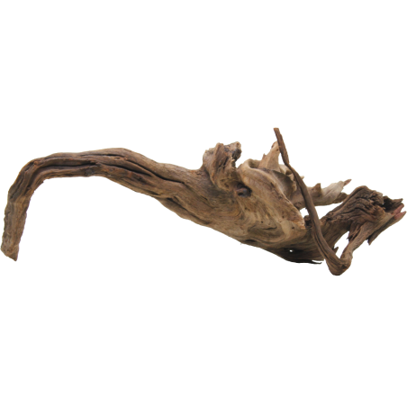Decorline Driftwood Misura cm47x8x15h Foto Reale cod.DW52