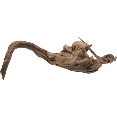 Decorline Driftwood Misura cm47x8x15h Foto Reale cod.DW52