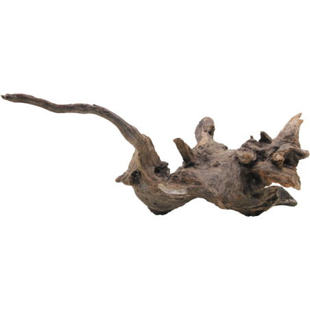 Decorline Driftwood Misura cm43x27x18h Foto Reale cod.DW28