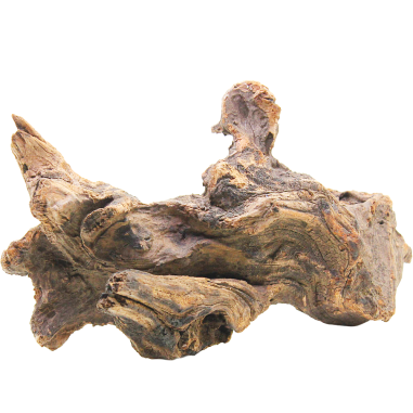 Decorline Driftwood Misura cm43x27x18h Foto Reale cod.DW28