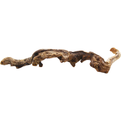 Decorline Driftwood Misura cm23x13x3h Foto Reale cod.DW39