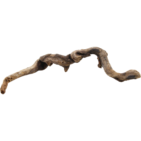 Decorline Driftwood Misura cm23x13x3h Foto Reale cod.DW39