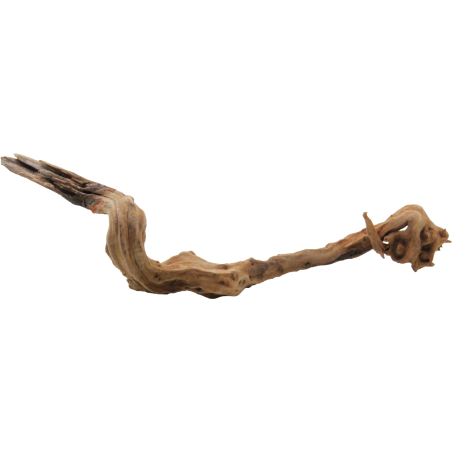 Decorline Driftwood Misura cm38x10x9h Foto Reale cod.DW51