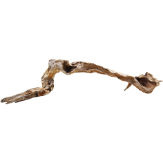 Decorline Driftwood Misura cm38x10x9h Foto Reale cod.DW51