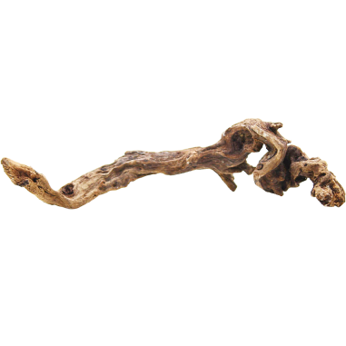 Decorline Driftwood Misura cm23x8x6h Foto Reale cod.DW23