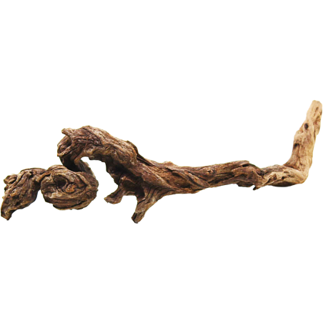 Decorline Driftwood Misura cm23x8x6h Foto Reale cod.DW23