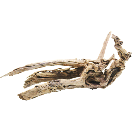 Decorline Driftwood Misura cm45x27x22h Foto Reale cod.DW49