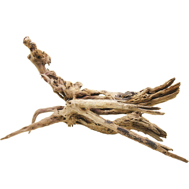Decorline Driftwood Misura cm45x27x22h Foto Reale cod.DW49