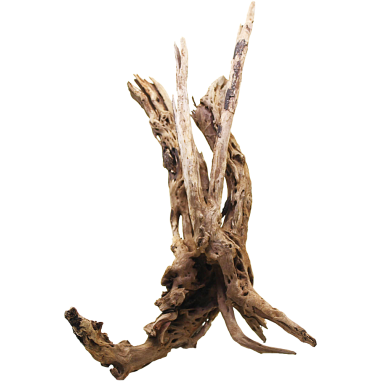 Decorline Driftwood Misura cm45x27x22h Foto Reale cod.DW49