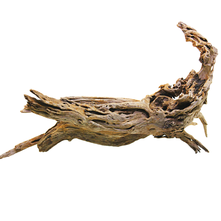 Decorline Driftwood Misura cm45x27x22h Foto Reale cod.DW49