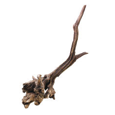 Decorline Driftwood Misura cm33x18x40h Foto Reale cod.DW50
