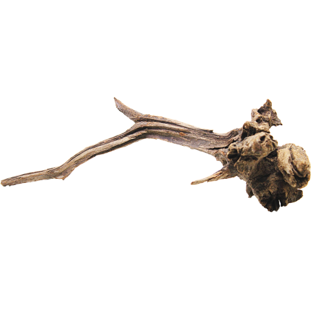 Decorline Driftwood Misura cm33x18x40h Foto Reale cod.DW50