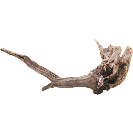 Decorline Driftwood Misura cm33x18x40h Foto Reale cod.DW50