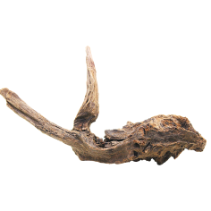Decorline Driftwood Misura cm42x13x21 Foto Reale cod.DW56