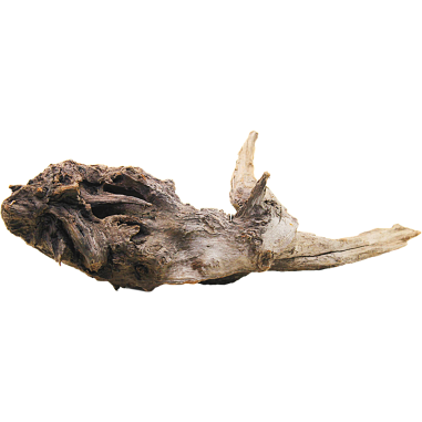 Decorline Driftwood Misura cm42x13x21 Foto Reale cod.DW56